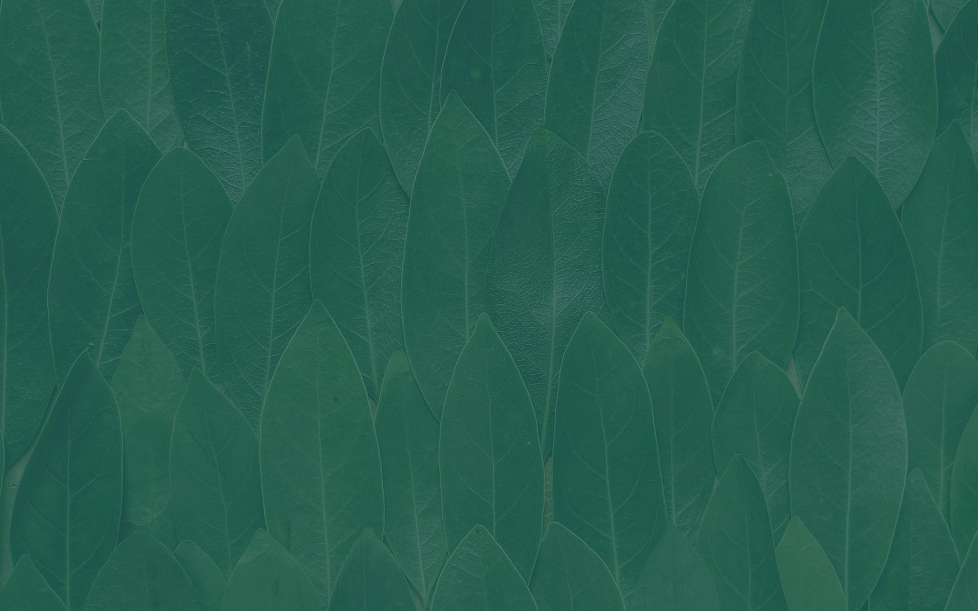 parallax background