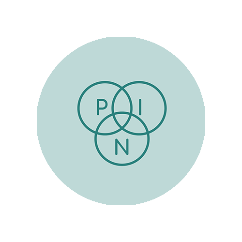 kpni_icon