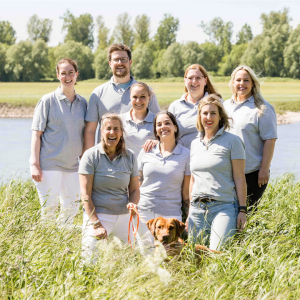 ativo-Teambild-2026
